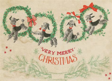 Vintage Christmas Dogs Card Free Stock Photo - Public Domain Pictures