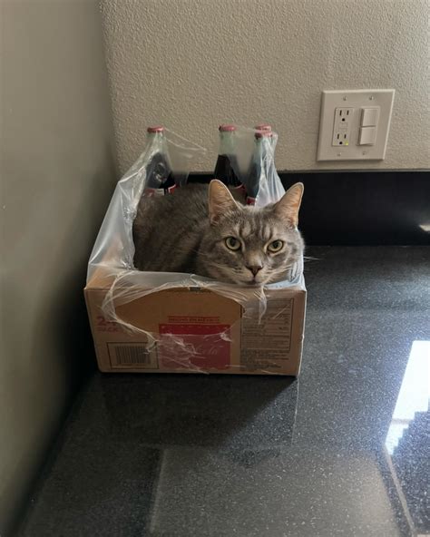 Riley B. Smith (@torn2rbns) • Instagram photos and videos