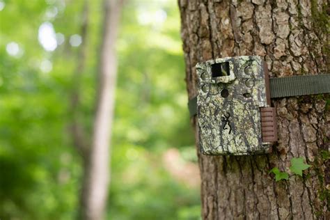 Image result for How to Use a Trail Camera