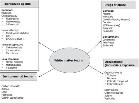 Toxic and Drug-Related White Matter Diseases of the Brain and Spine - Magnetic Resonance Imaging ...