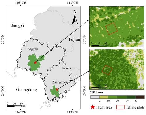 Examining the Role of UAV Lidar Data in Improving Tree Volume ...