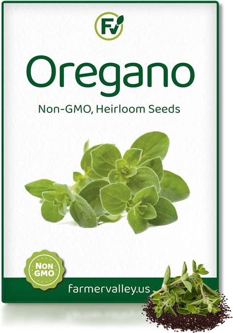 Amazon.com: Cuban Oregano Seeds,AKA (Broad Leaf Thyme) Spanish thyme ...
