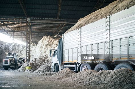 Image result for Loading Cotton Modules