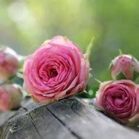 DeClue Funeral Home Obituaries