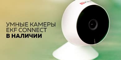 Умные камеры EKF Connect для безопасности дома