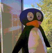 Image result for ST Math Jiji Logo