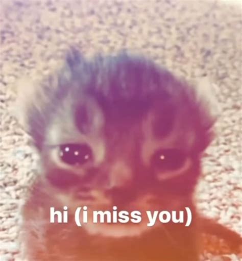 I Will Miss You Meme Funny