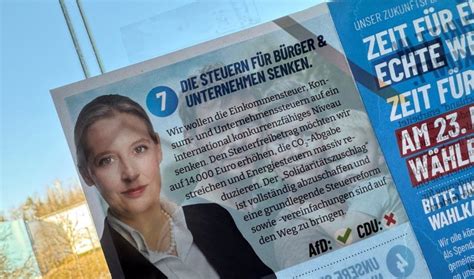Alice Weidel und der angebliche Hitlerbart: AfD-Flyer sorgt in den ...