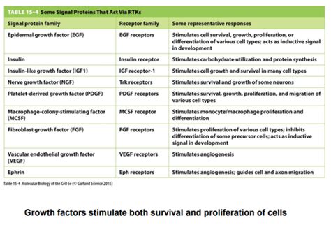 Image result for RTK Structure
