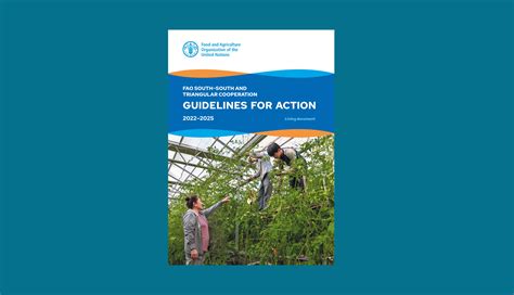 Triangular Cooperation 的图像结果