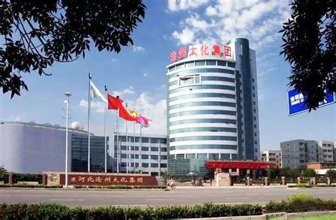 沧州大化将成为国内最大TDI生产企业!_产能