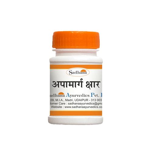 Buy Sadhana Ayurvedics Apamarg Kshar-20 Grams, Pack of 2 Online at Low ...