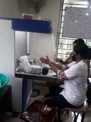 Molecular Bios Service