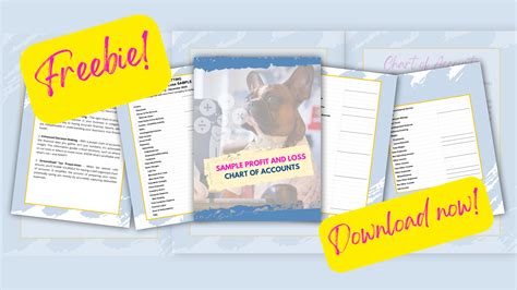 How to Set Pet Sitting & Dog Walking Rates | Pricing Guide