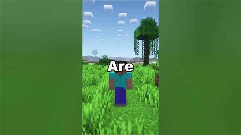 Image result for The Most Have Minecraft Java Mods