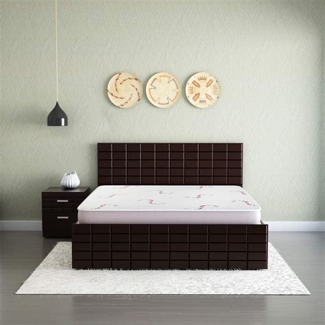 GODREJ INTERIO Ortho Plus 4-inch Double Size Foam Mattress (White ...