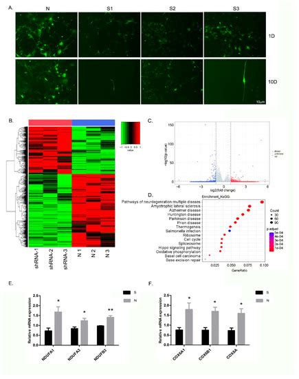 Loss of Protein Function Causing Severe Phenotypes of Female-Restricted ...