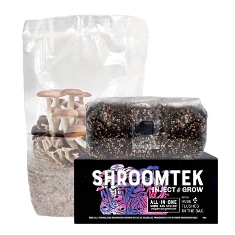 Buy 'ShroomTek' All-in-One Mushroom Grow Bag | Grow Mushrooms Right in ...