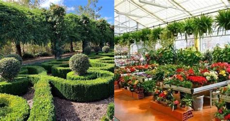 Uttarakhand sets up Botanical Garden to conserve species of Shivalik range