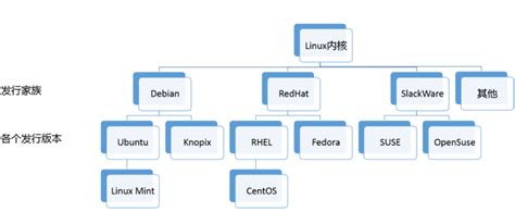如何挑选适合自己的Linux系统版本？-linux如何查看系统版本