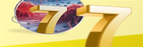 The top 7 attributes of cell line-derived reference standards for ...