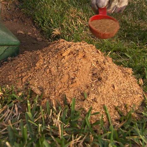 Spectracide 3.5-lb Fire Ant Shield Mound Destroyer Fire Ant Killer HG ...