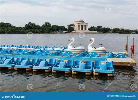 Swan and Paddle Boats at Washington, DC Tidal Basin Editorial Stock ...