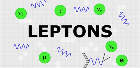 Image result for Types of Leptons