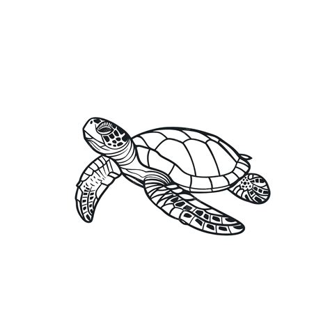 Sea Turtle Outline Clip Art