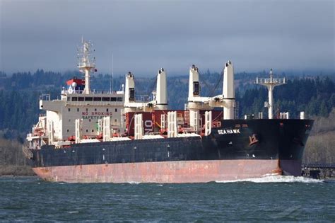 SEA HAWK, Bulk Carrier - Details and current position - IMO 9766346 ...
