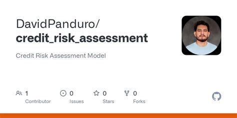 Credit Risk Assessment 的图像结果