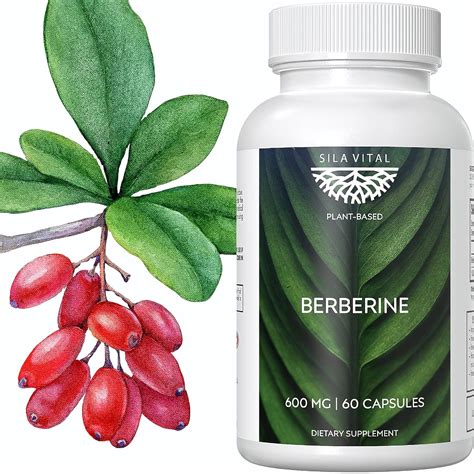 SILA VITAL Berberine Plant Based Extra Strength India | Ubuy