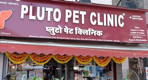Dr. Ramani Jairam Pluto Pet Clinic in Andheri East West, Mumbai - Call ...