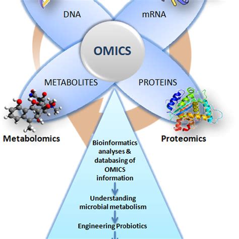 Omics Introduction 的图像结果