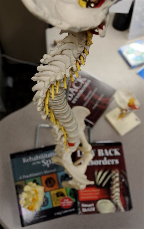 Image result for Back Hyper Machine