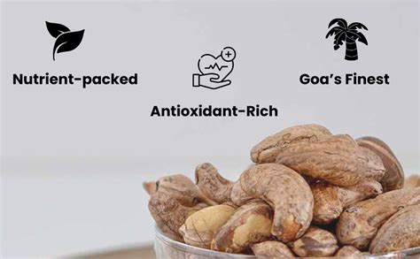 Sattvic Foods Double Drum Roasted Cashew Nuts (500 g) | W210 - Extra ...