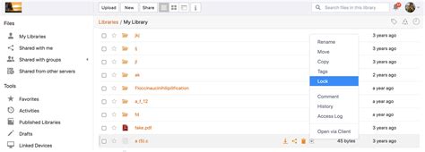 Image result for File Locking Explained