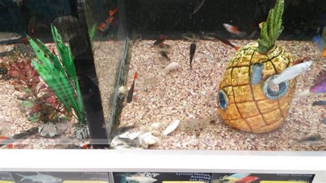 Image result for Walmart Decatur Alabama