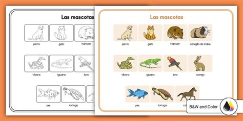 Tapete de las mascotas / Twinkl USA