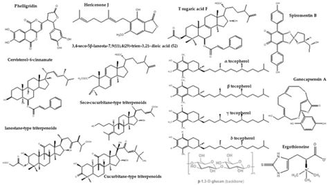 Nutrients | Special Issue : Medicine and Food Homologous Plants and ...