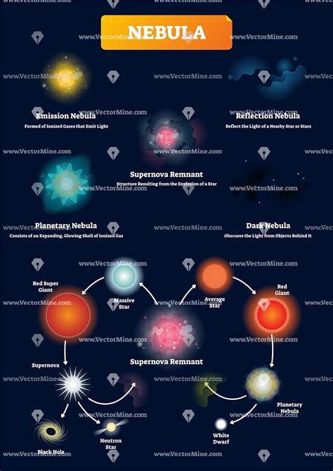 Nebula vector illustration infographic | Nebula, Astronomy facts, Space facts