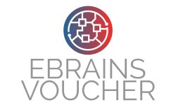 EBRAINS Voucher - accelopment