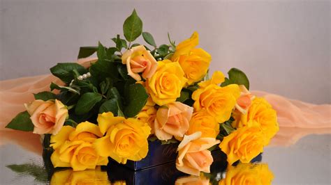 Download wallpaper 2560x1440 roses, yellow, flower, candy, fabric ...