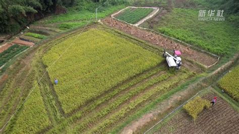 农田灌溉高清图片下载-正版图片600255769-摄图网