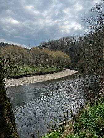The Tamar Valley Line (Calstock) - 2022 What to Know Before You Go ...