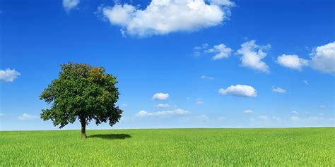 Image result for Microsoft Windows Tips