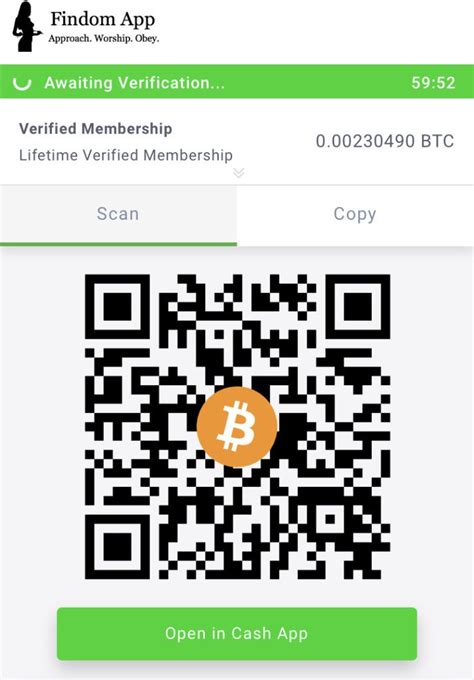 Cash App Verify 的图像结果
