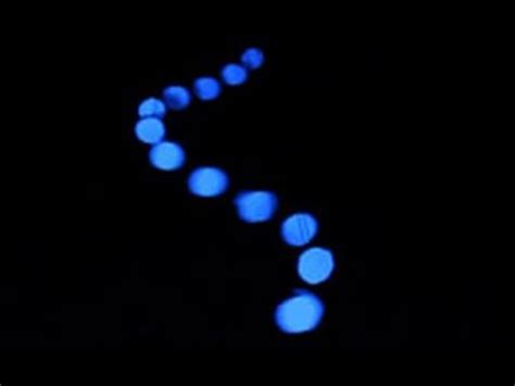 Pendulum Simulator 的图像结果