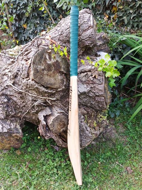 Tennis Bat 的图像结果