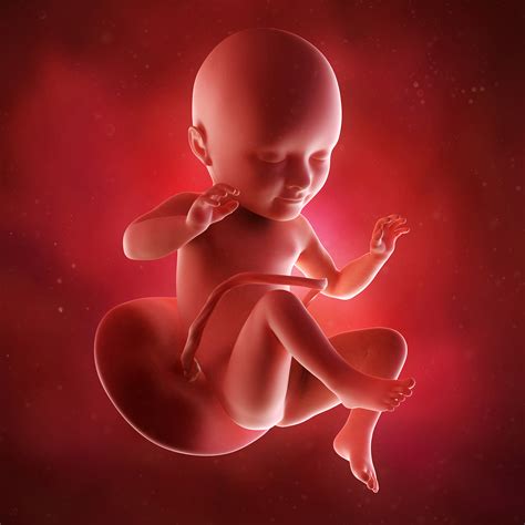 34 Weeks Pregnant - Pregnancy Week-by-Week